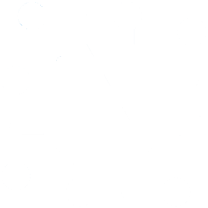 Inclusão Digital Icon