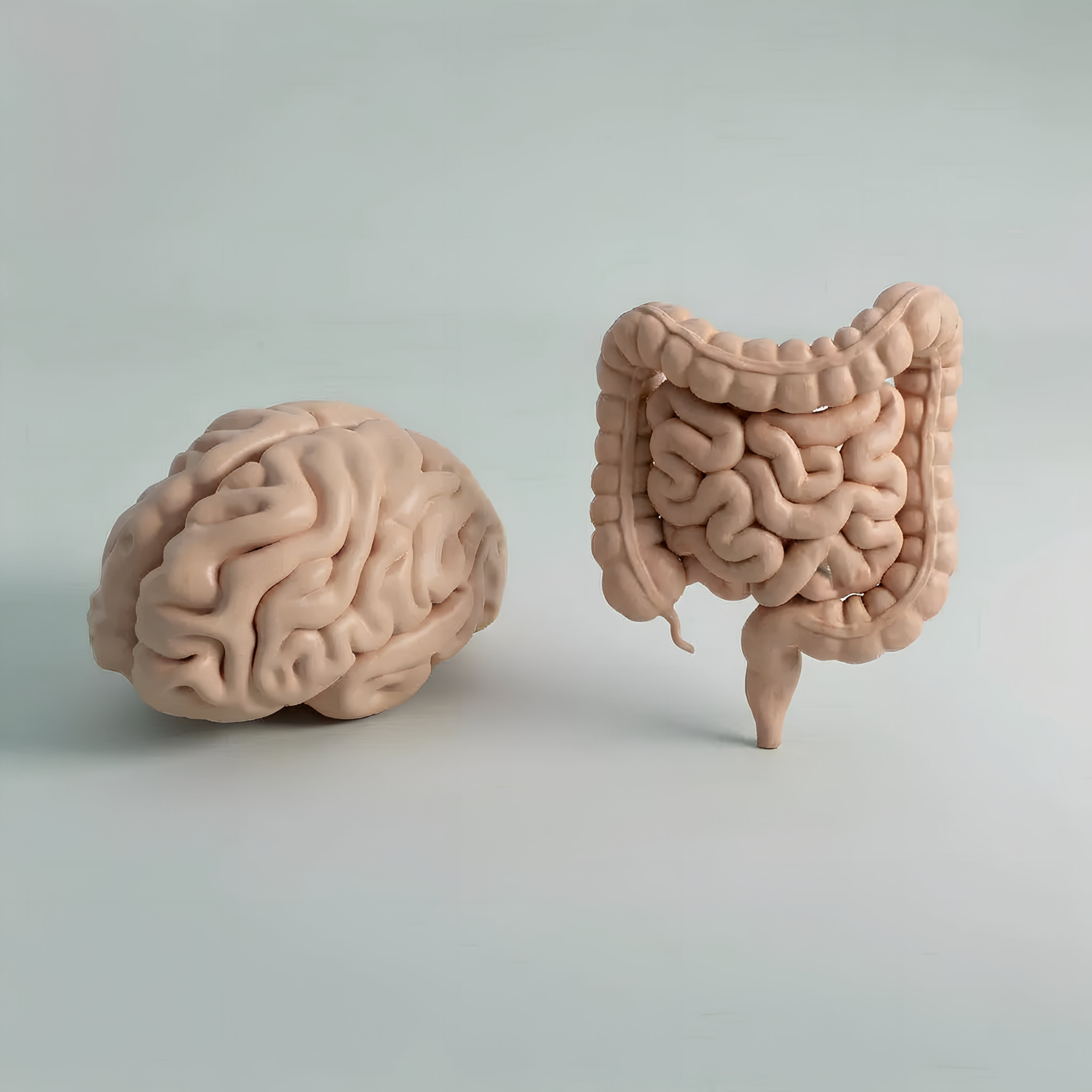 envato-labs-image-edit(2)